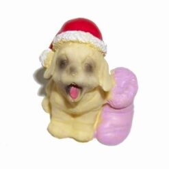 Catelus cu caciula lui Mos Craciun si papucel