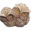 Cuplu de bufnite pentru dragoste
