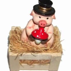 Purcelusuli norocului absolut