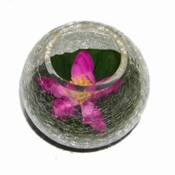 Bol din sticla cu lotus mov