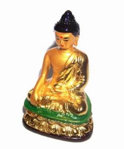 Buddha al medicinei auriu