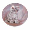 Farfurie decorativa cu pisica jucausa