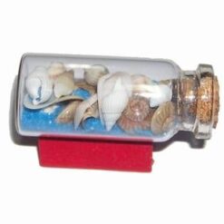 Minirecipient cu scoici si nisip pentru o relatie a distanta