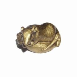 Sobolanul auriu cu sacul bogatiei - mediu