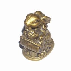 Iepurele auriu cu broasca raioasa, monede si pepita