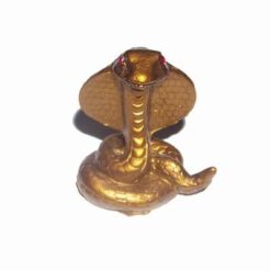 Sarpele auriu pentru succes