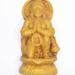 Hanuman - zeul maimuta pe lotus