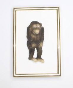 Tablou 3 D cu maimuta fericirii