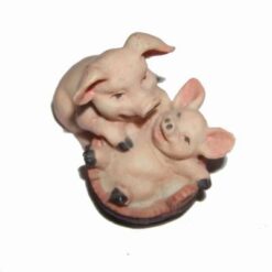 Cuplu de porcusori norocosi pentru succes de urmasi