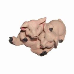 Cuplu de porcusori norocosi pentru succes de urmasi