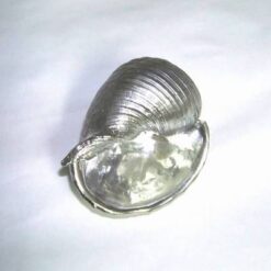 Scoica argintie - remediu Feng Shui