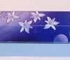 Betisoare parfumate - Feng Shui - Metal