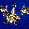 Set de bijuterii placate cu aur - model unicat!