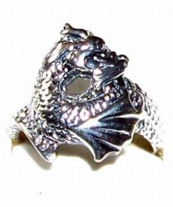 Inel din argint cu Dragonul Ceresc - model unicat !