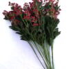Florile rosii /visiniu ale iubirii - 11 fire