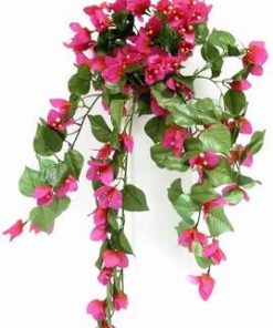 Floare decorativa curgatoare pentru stimularea chi-ului -roz
