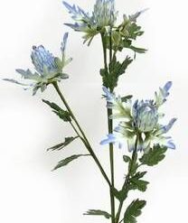 Floarea norocului in afaceri - 78 cm