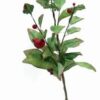 Crenguta cu fructe - rodii - 70 cm