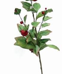 Crenguta cu fucte - rodii - 70 cm