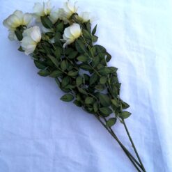 Bujorul armoniei in familie - 3 fire