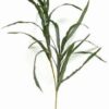 Crenguta de Yucca - 92 cm