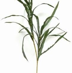 Crenguta de Yucca - 92 cm