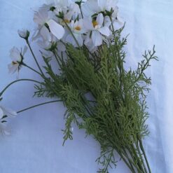 Margareta alba cu trei flori -pentru succes la examene-9 buc