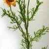 Floare portocalie pentru stimularea planului sexual 9 fire