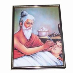 Tablou cu inteleptul Sushruta