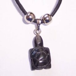 Broscuta norocoasa pentru acest an