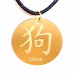 Talisman auriu pe siret negru - Caine