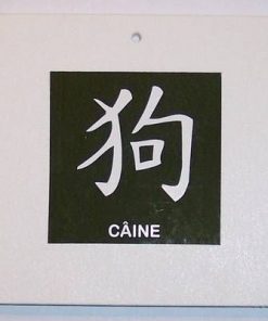 Tablou cu zodia Caine