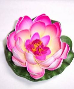 Lotus roz