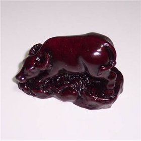 Bivol - remediu Feng Shui