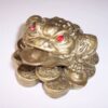 Broasca raioasa cu trei picioare - remediu Feng Shui