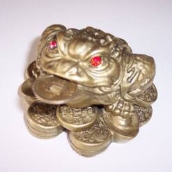 Broasca raioasa cu trei picioare - remediu Feng Shui