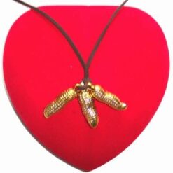 Fructele succesului - Remediu Feng Shui