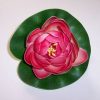Lotus roz