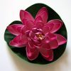 Lotus roz deschis
