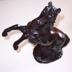 Calul de parada - remediu Feng Shui