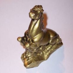 Cal de parada - remediu Feng Shui