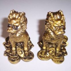 Cainii Chi Lin - Remediu Feng Shui