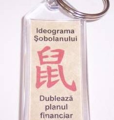 Breloc Feng Shui cu Ideograma Sobolanului