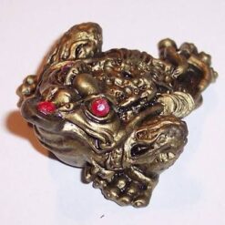 Broasca raioasa cu nestemate rosii - remediu Feng Shui