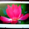 Tablou Feng Shui pentru planul sentimental