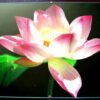 Tablou Feng Shui pentru planul sentimental