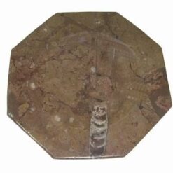 Platou/farfurie din amonite in forma de Ba Gua