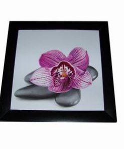 Tablou Feng Shui cu orhidee si cristale