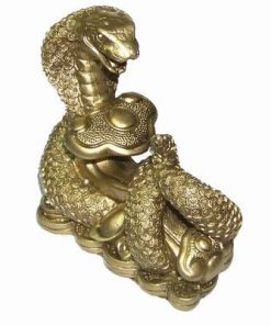 Buddha cu Dragon - remediu Feng Shui