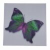 Tablou Feng Shui cu Fluturele Evolutiei Spirituale